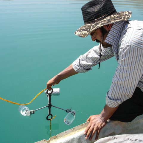 Lymnological study and stock assessment of Shahid Kazemi Dam – Saqqez and Gavoshan – Kamyaran Dams for aquaculture purposes